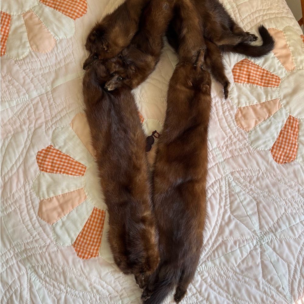 Mink Stole - Picture 3 of 4